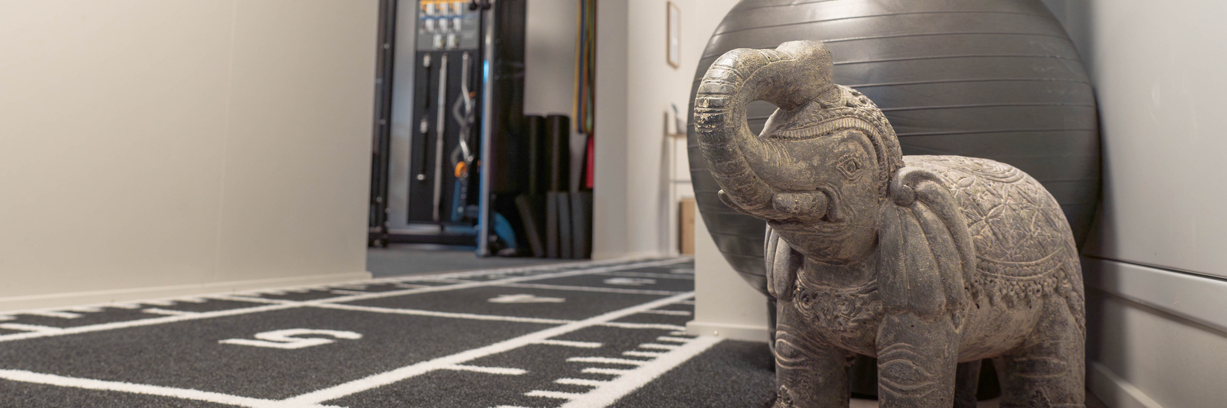 STERKUR sports physio functional training